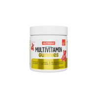Мультивитаминные жевательные конфеты Nutrend Multivitamin Gummies (фруктовый) 60 желейок