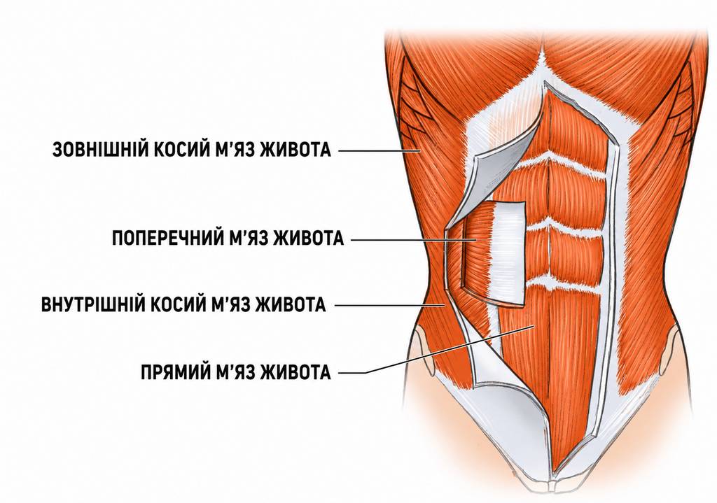 Планка: користь для тіла, види і техніка